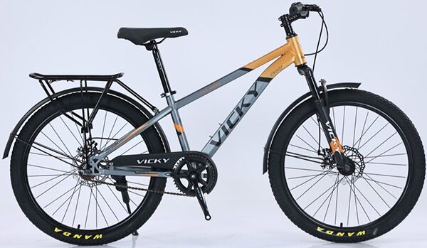 Xe đạp địa hình thể thao Vicky VC600 2024